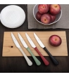 Coltello Stresa Colour manico rosso » Vendita Online » Pinti Inox