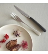 Coltello bistecca Kobe lama liscia e lama seghettata » Vendita Online » Pinti Inox