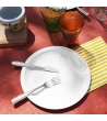 Set 6 pz piatto in acciaio bianco per pic-nic e party » Vendita Online » Pinti Inox