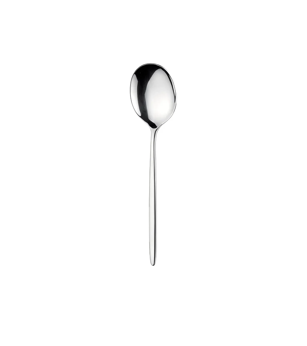 Fosly Set di 12 Cucchiai da Tavola Acciaio Inossidabile, 20 cm