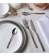 Posate da tavola Privilege con manico in acciaio » Vendita Online » Pinti Inox